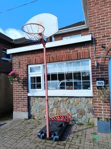 Basketball Net
