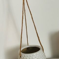 Hanging plant pot