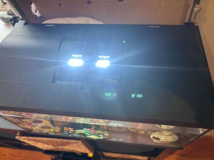 50l Fish tank and accessories
