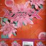 Bjork Post Book Image 2