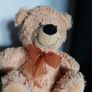 Teddy Image 2