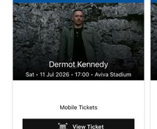 Dermot kennedy Aviva stadium