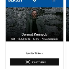 Dermot kennedy Aviva stadium