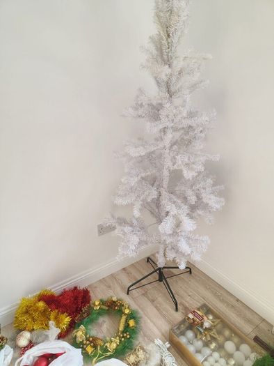 Christmas decorations and two trees