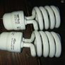 bulbs Image 2