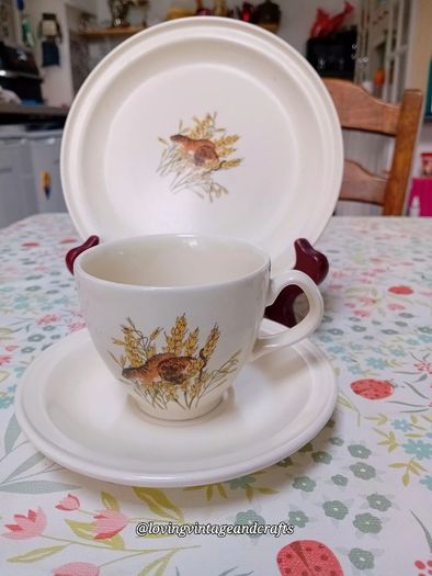 Carrigaline Wildlife Pottery