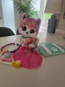 vtech Hope The Rainbow Husky