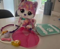 vtech Hope The Rainbow Husky