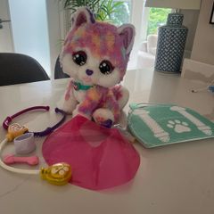 vtech Hope The Rainbow Husky