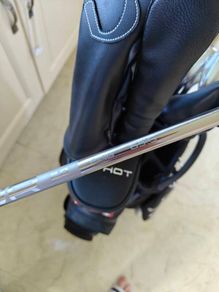 Ping driver shaft