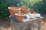 garden planters