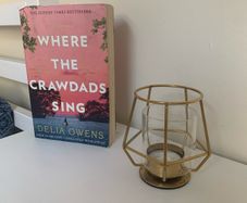 Where The Crawdads Sing - Delia Owens (Paperback)