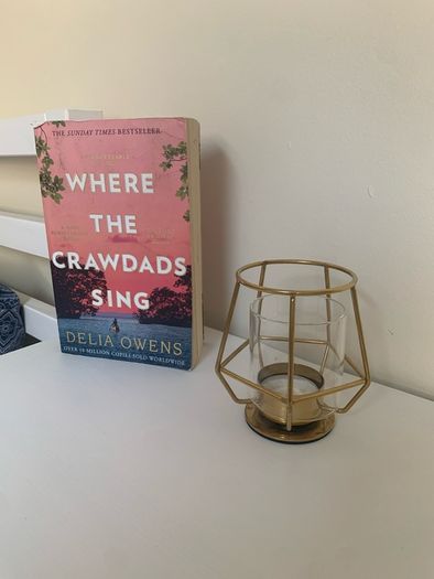 Where The Crawdads Sing - Delia Owens (Paperback)