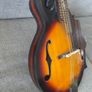 Mandolin Image 2