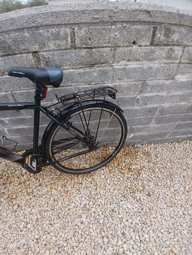 Adults Bike