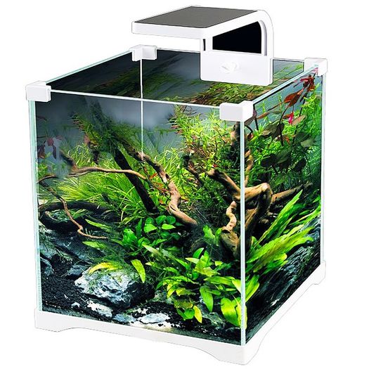 SunSun AD-150 Shrimp LED - 5W shrimp tank lamp