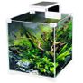 SunSun AD-150 Shrimp LED - 5W shrimp tank lamp Image 4