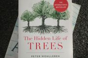The hidden life of trees