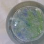 Glass Jellyfish Paperweight Image 7