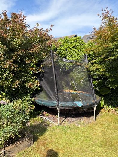 trampoline