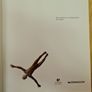 Arte Moderno y Contemporaneo de Chiapas  Hardcover Image 6