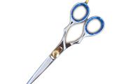 Hair Dressing Scissor Razor Scissors Sharp Saloon Scissor 6"