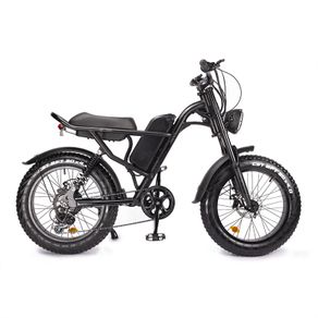 Ridingtimes Z8 Electric Bike