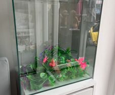 Complete 40L Aquarium Bundle + Wall-Mount Tank & Accessories
