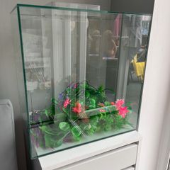 Complete 40L Aquarium Bundle + Wall-Mount Tank & Accessories