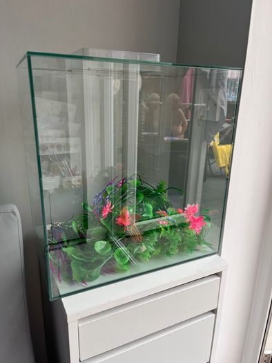 Complete 40L Aquarium Bundle + Wall-Mount Tank & Accessories