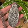 1 Ancient Energy Orthoceras Fossil Beautifully Soldered on a Chunky Silver Belcher Chain Image 5