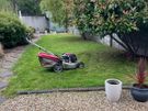 Grass Cutting & Garden Maintenance Image 4