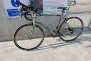 carrerra road bike