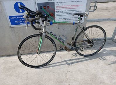 carrerra road bike