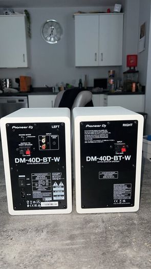 Pioneer DJ Speakers