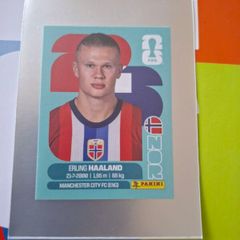Haaland Panini World Cup 2026 Sticker