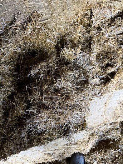 Pit silage