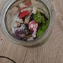Open glass jar terrarium Image 2