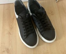 alexander mcQueens