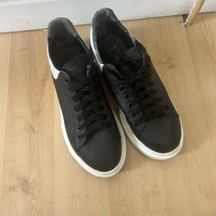 alexander mcQueens