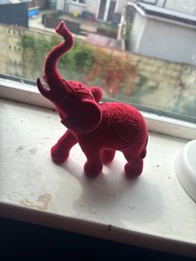 Elephants orients