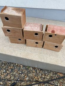 budgie boxes