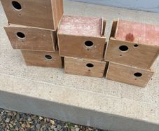 budgie boxes