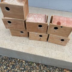 budgie boxes