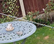 fishing rod