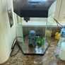 fish tank Image 2