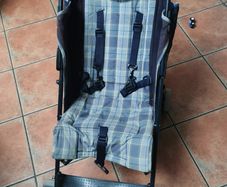 umbrella buggy