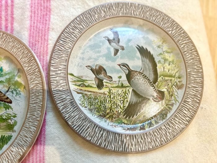 Vintage Bird plates