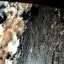 granite table Image 5