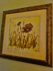 Framed Pic